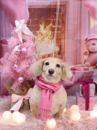 20241204テヤンくん